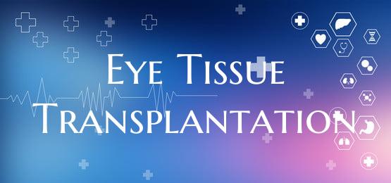 Eye Tissue Transplantation